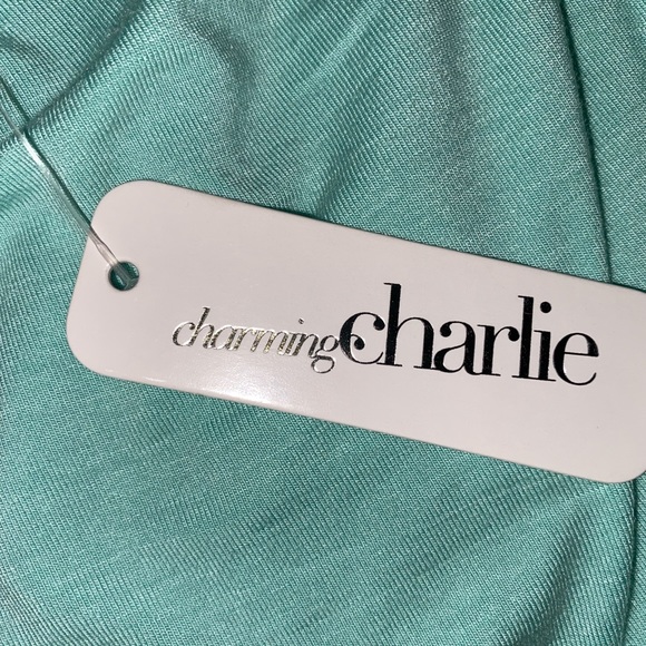 NWT Charming Charlie Maxi dress! - Picture 9 of 10